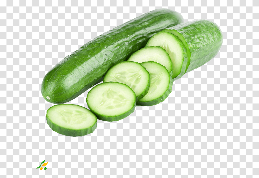 Pickled Cucumber Cucumber Sandwich Vegetable Vegetarian Background Cucumber, Plant, Food Transparent Png