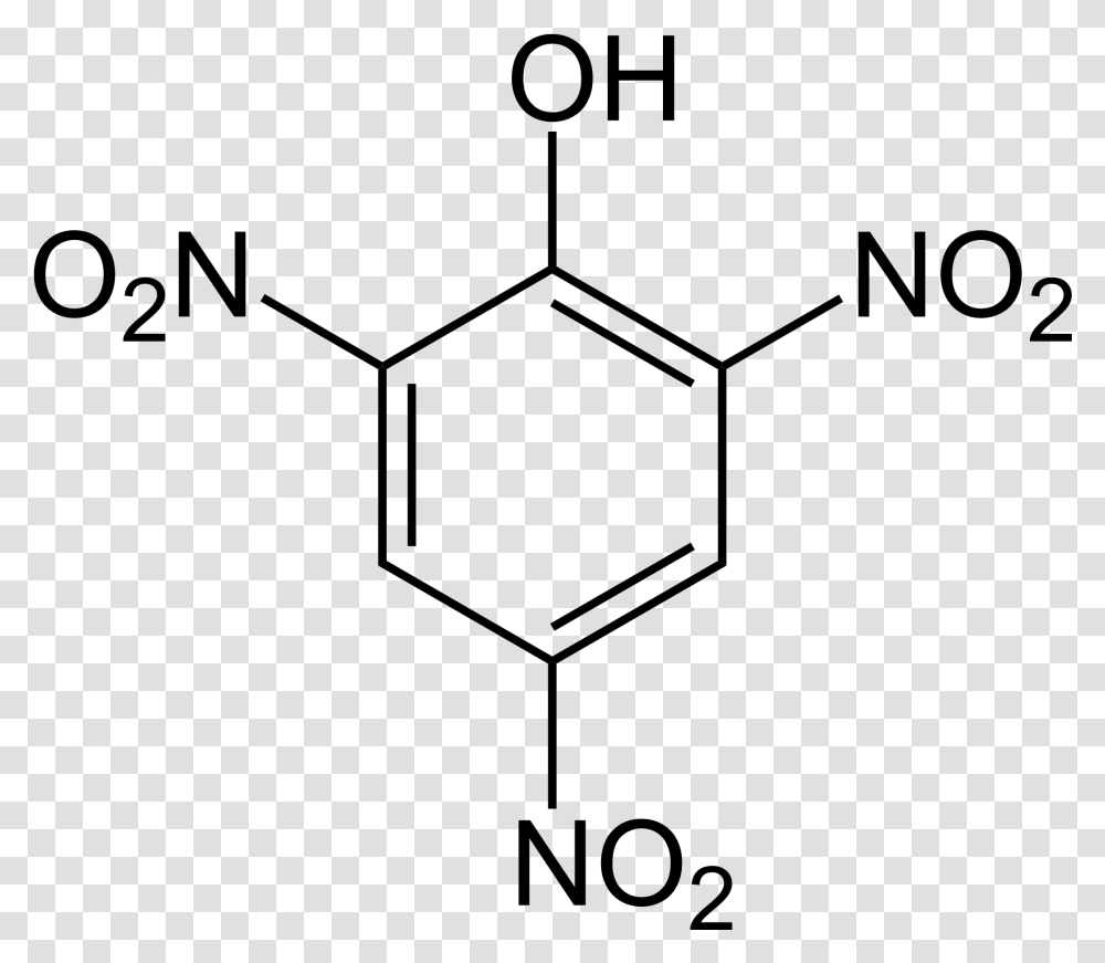 Picric Acid, Spider Web, Network, Silhouette Transparent Png