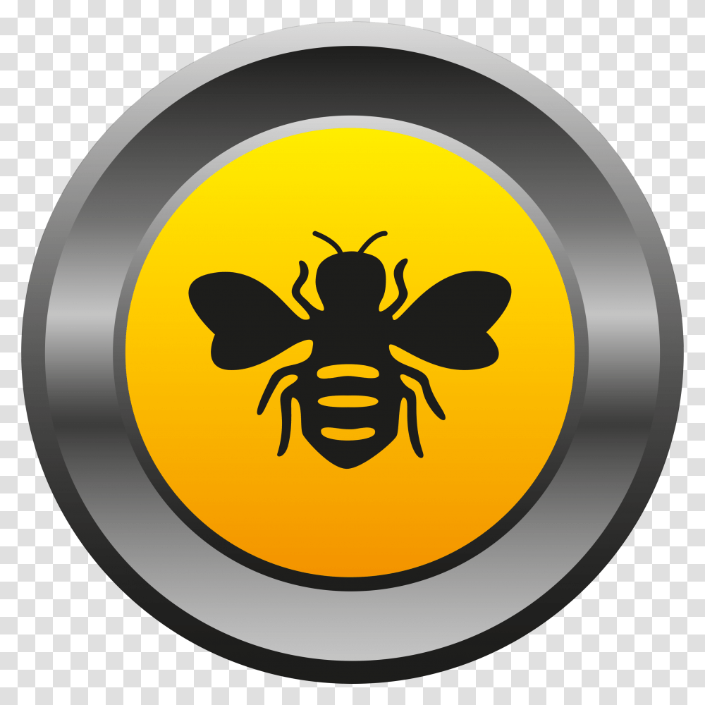 Pics Desktop Backgrounds The Concept Beebee Automotive Honeybee, Wasp, Insect, Invertebrate, Animal Transparent Png