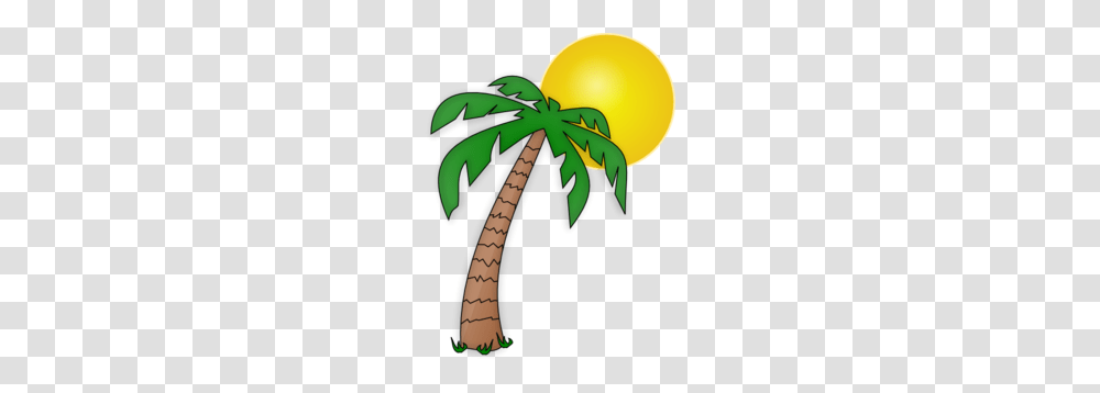 Pics For Gt Cartoon Island With Palm Tree Cartoon Drawings, Plant, Vegetation Transparent Png