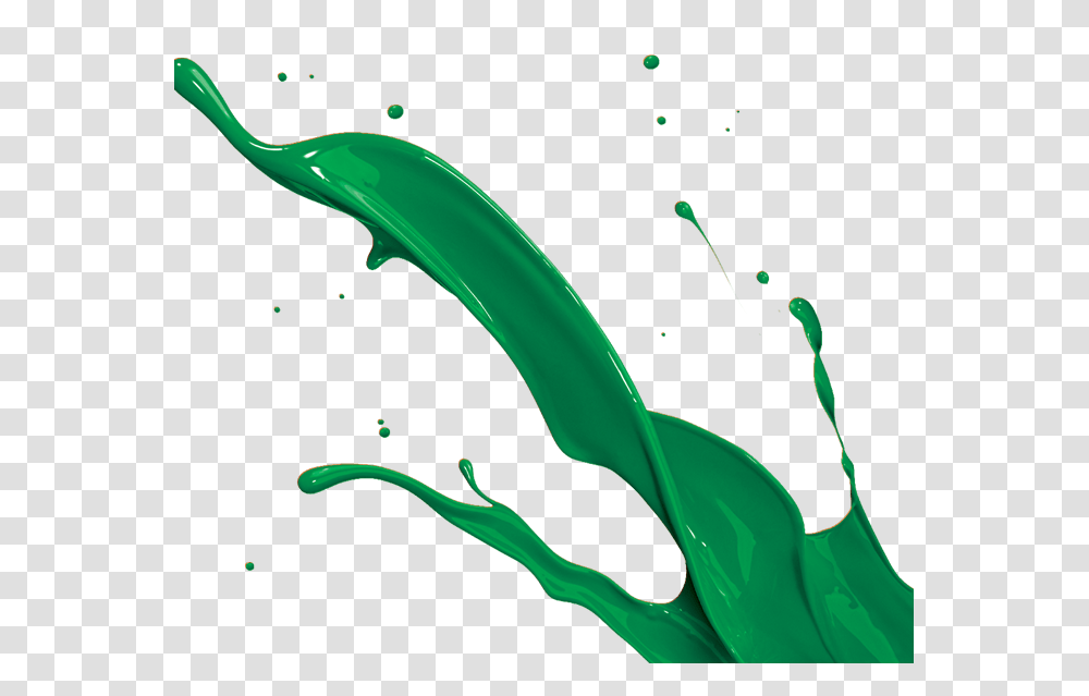 Pics Of Green Paint, Plant, Sea Life, Animal, Mammal Transparent Png