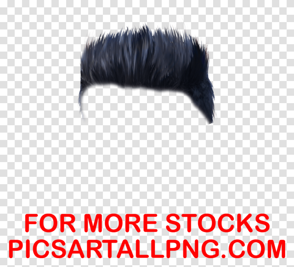 Picsart Editing Hair Hair Pngpicsartallpng Wagenwerks, Bird, Animal, Kiwi Bird Transparent Png