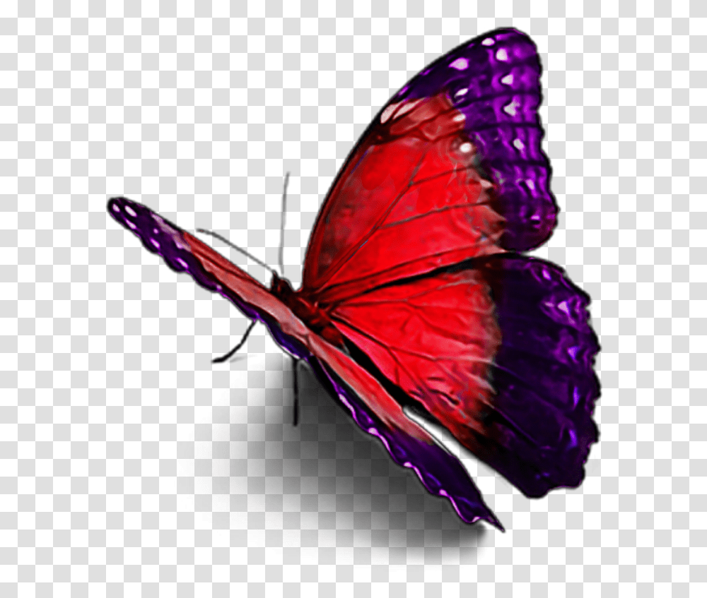 Picsart New Hd Sticar Butterfly Images Hd, Insect, Invertebrate, Animal, Bird Transparent Png
