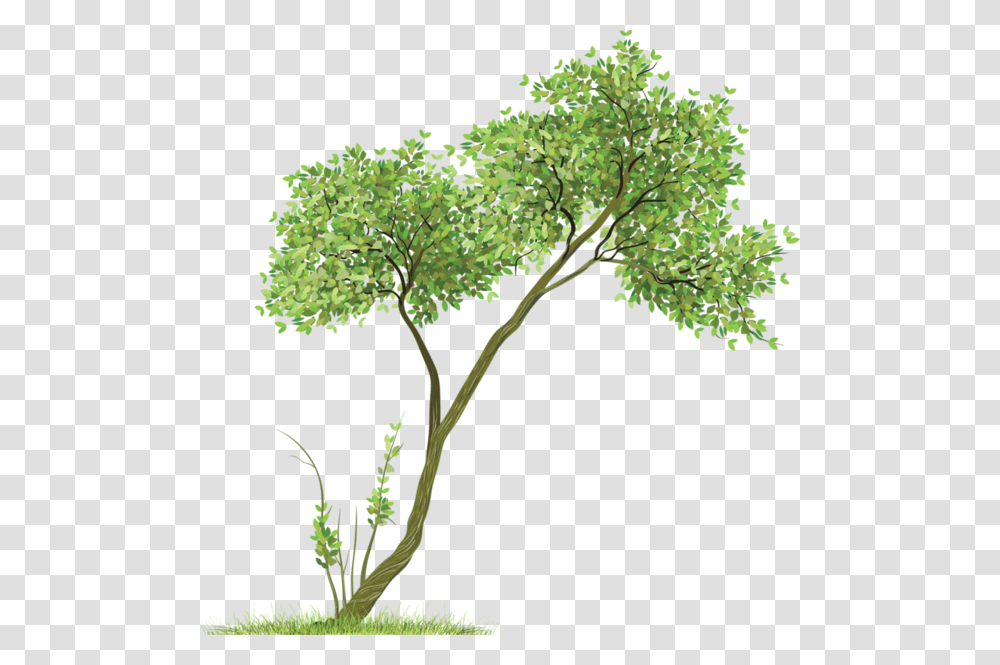 Picsart Tree Hd, Plant, Green, Leaf, Jar Transparent Png