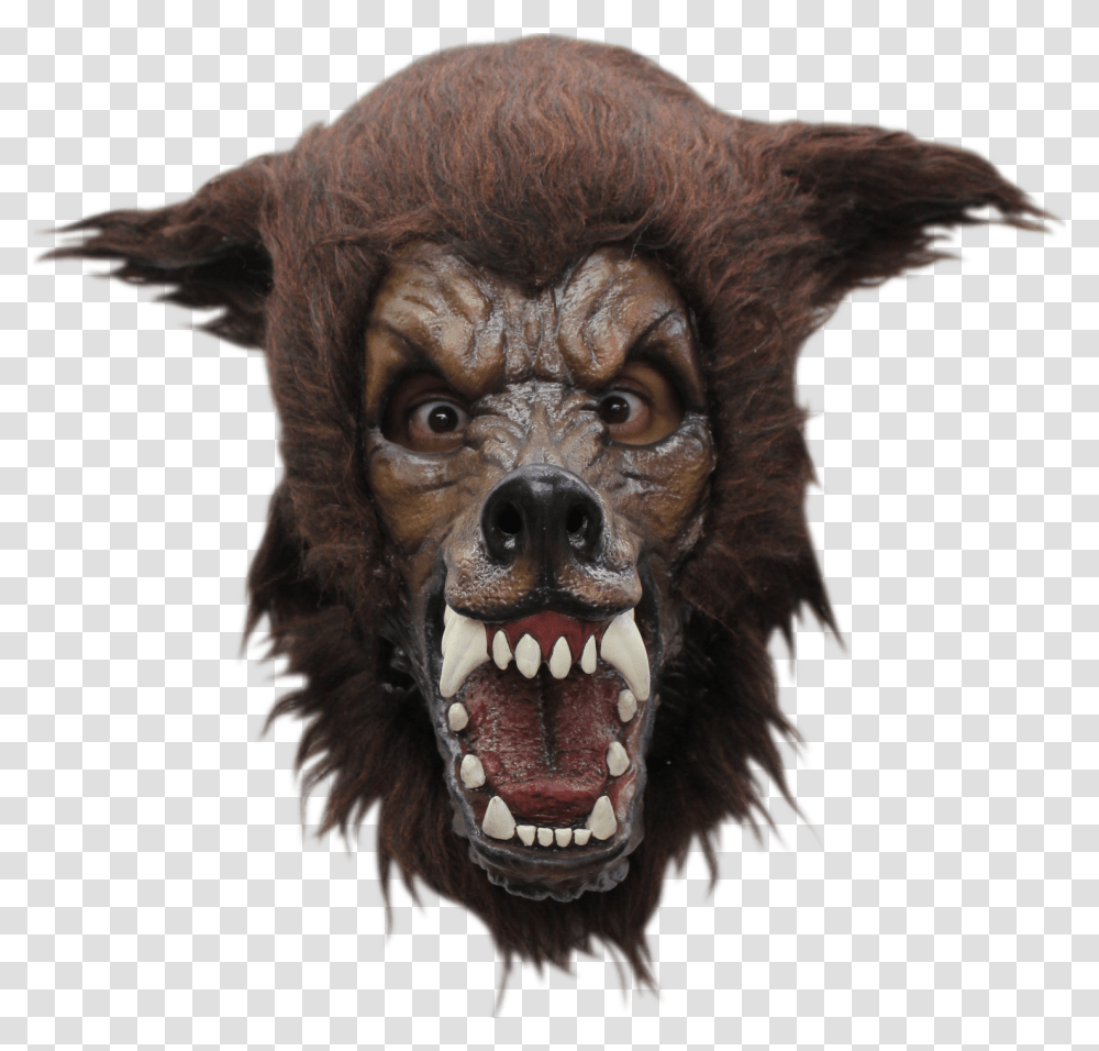 Picture 1 Of Big Bad Wolf Mask, Teeth, Mouth, Bird, Animal Transparent Png