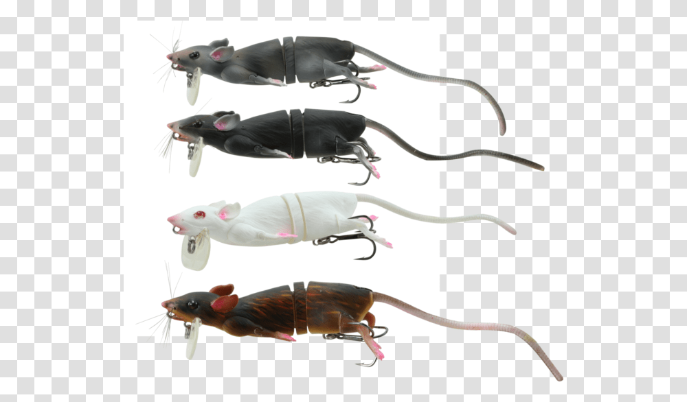 Picture 1 Of Savage Gear 3d Mouse, Animal, Bird, Fish, Fishing Lure Transparent Png