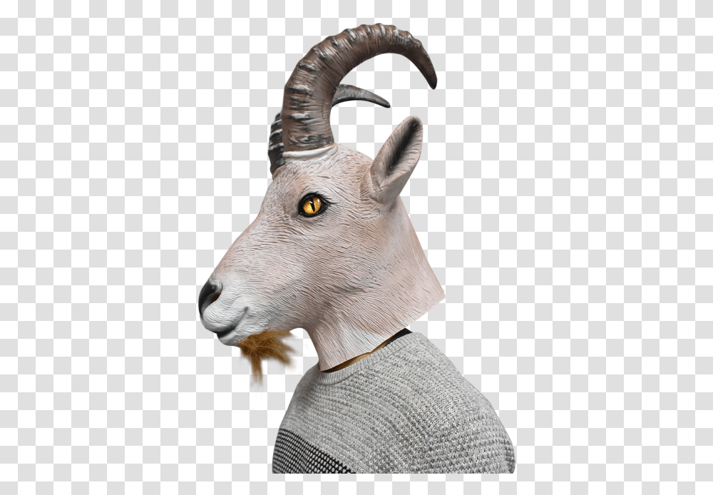 Picture 4 Of Diy Mountain Goat Costume, Mammal, Animal, Wildlife, Bird Transparent Png