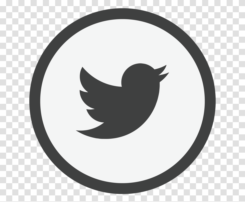 Picture Animated Twitter Bird Flying Gif, Logo, Trademark, Animal Transparent Png