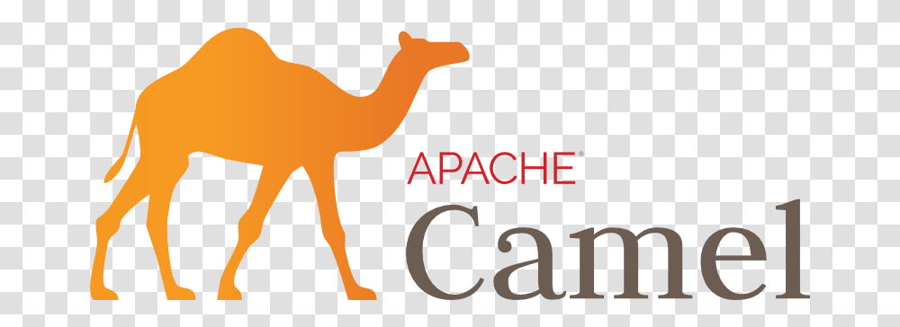 Picture Apache Camel Logo, Animal, Mammal, Text, Poster Transparent Png