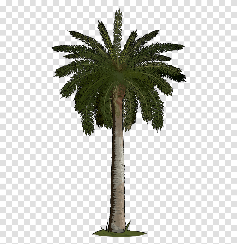 Picture Artificial Palm Tree, Plant, Arecaceae, Cross, Symbol Transparent Png