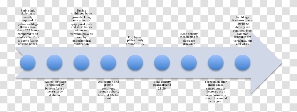 Picture Bone Growth Timeline, Nature, Outdoors, Sunrise, Sphere Transparent Png