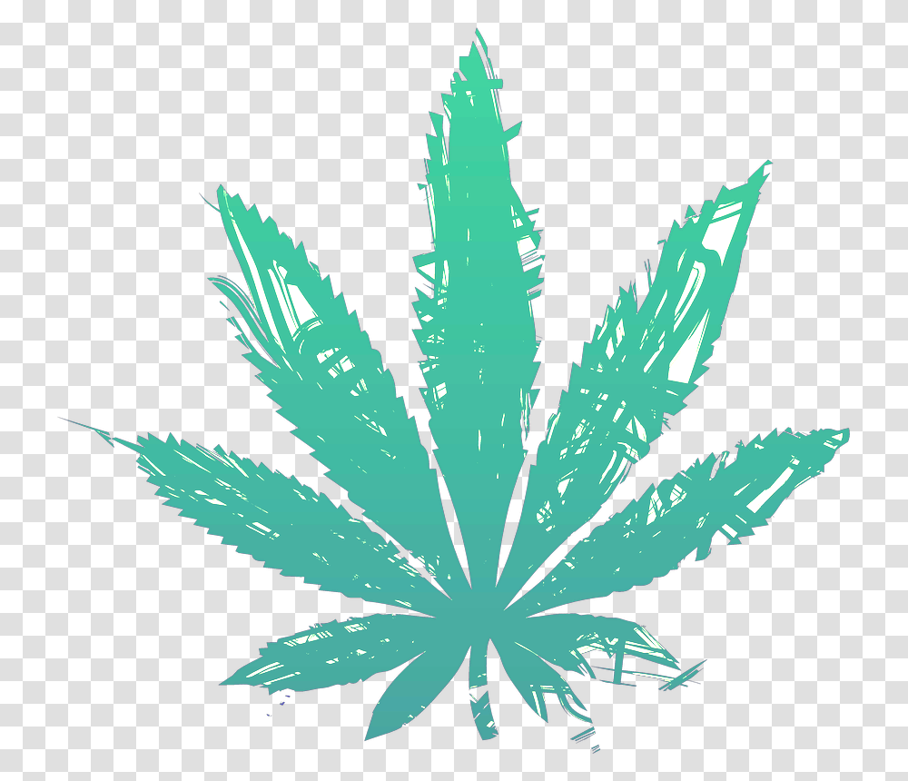 Picture Cannabis Leaf Background, Plant, Weed, Flower, Blossom Transparent Png