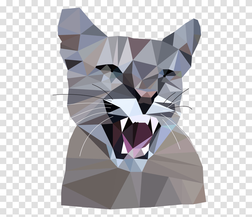 Picture Cat, Diamond, Gemstone, Jewelry, Accessories Transparent Png