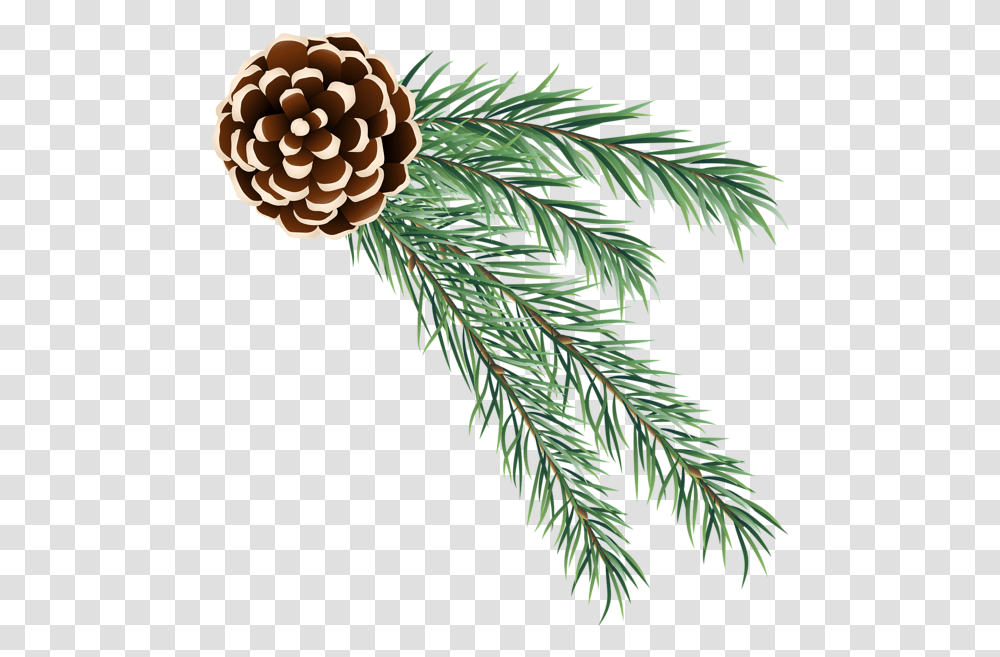 Picture Christmas Pine Cone, Tree, Plant, Conifer, Spruce Transparent Png