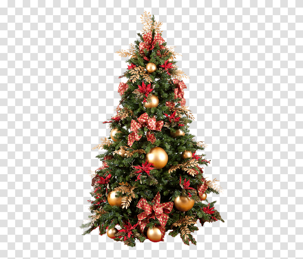 Picture Christmas Tree, Ornament, Plant Transparent Png