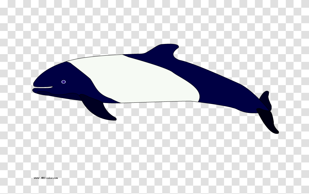 Picture Commersons Dolphin, Outdoors, Axe, Nature Transparent Png
