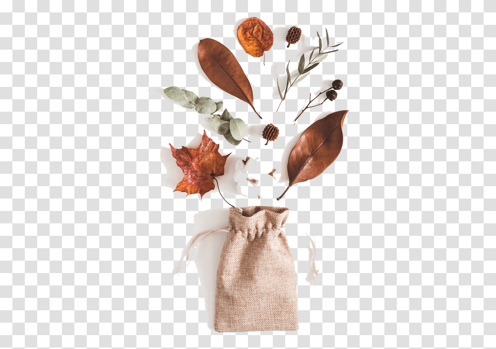 Picture Cotton Flowers White Background, Leaf, Plant, Tree, Bag Transparent Png