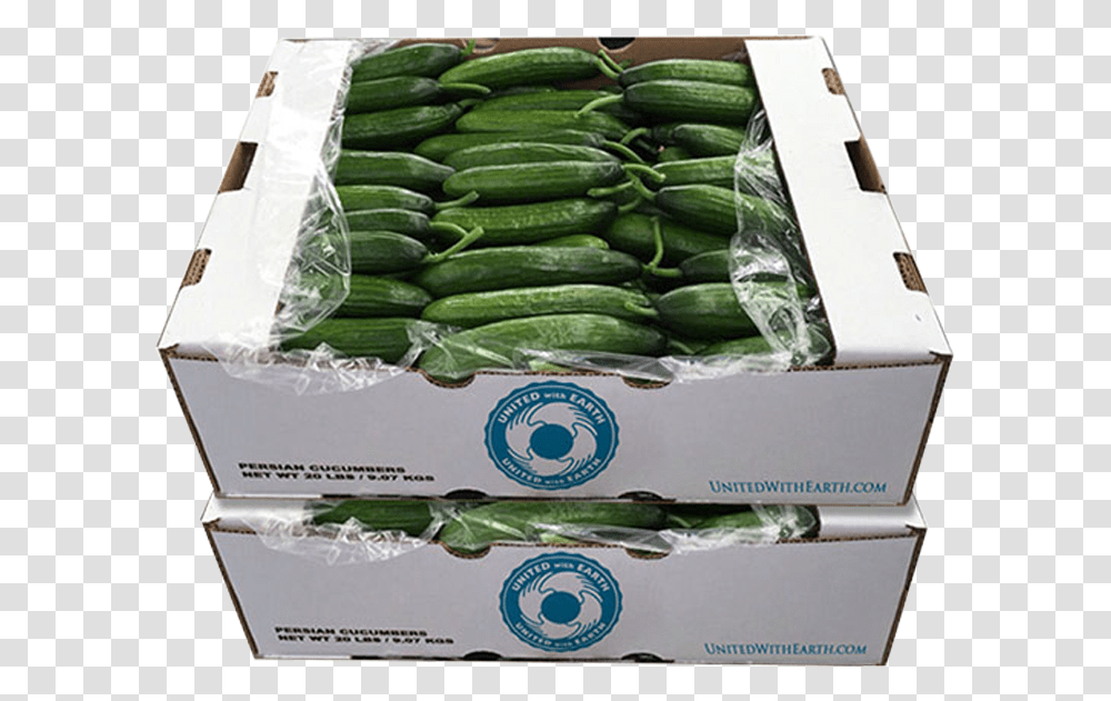 Picture Cucumber Wholesale In Boxes, Plant, Vegetable, Food, Produce Transparent Png