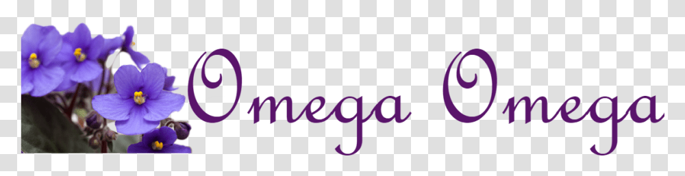 Picture Delta Sigma Theta Omega Omega, Alphabet, Logo Transparent Png
