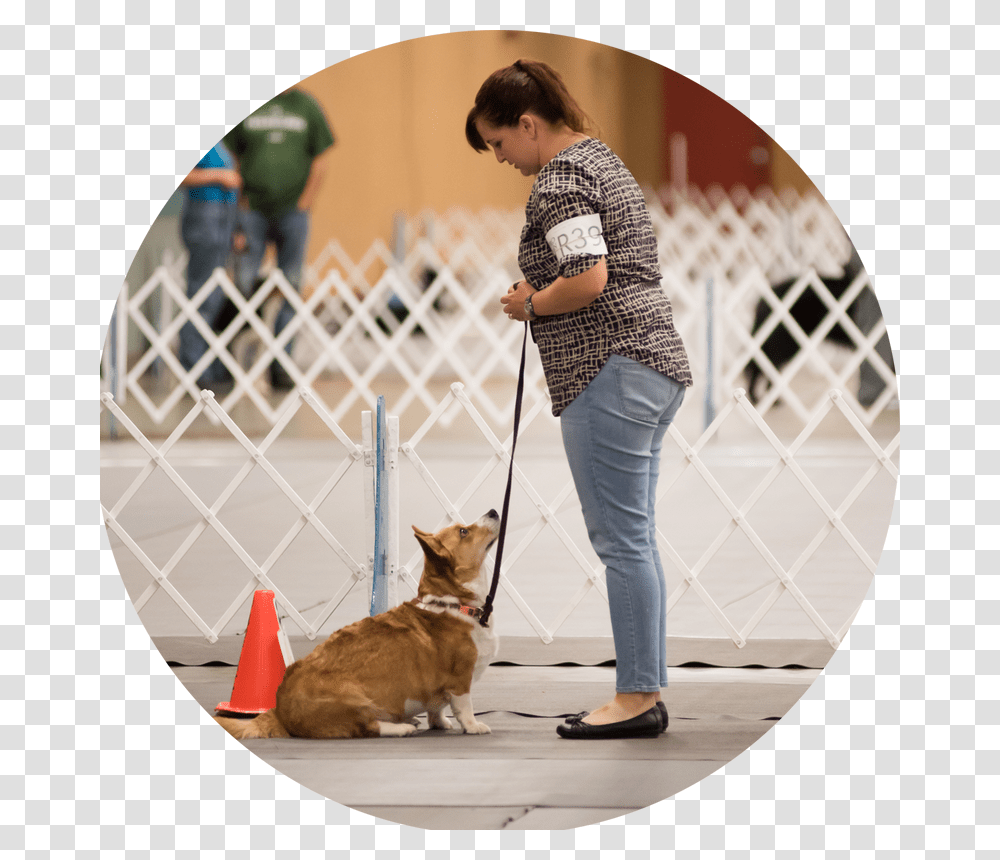 Picture Dog Walking, Person, Shoe, Strap Transparent Png