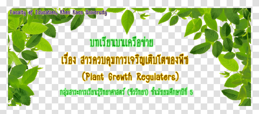 Picture Eco Friendly Means Of Transport, Vegetation, Plant, Leaf, Green Transparent Png