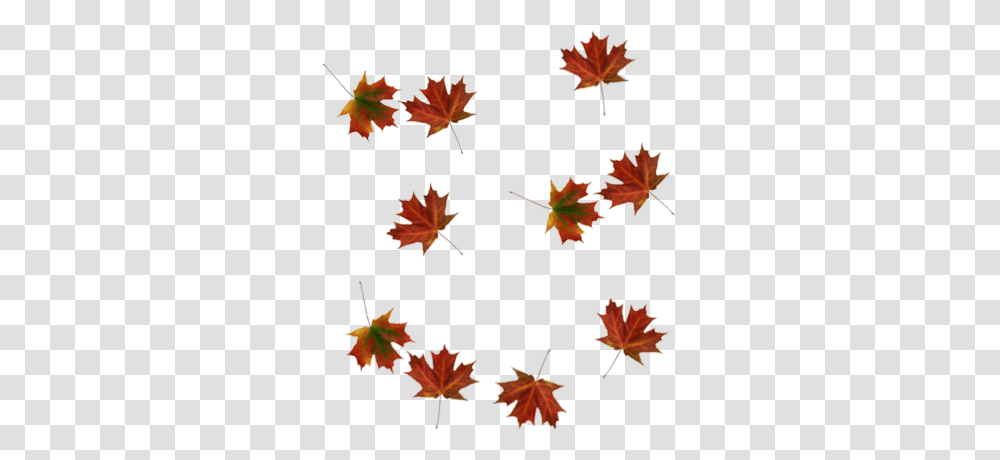 Picture Falling Leaves, Leaf, Plant, Paper, Tree Transparent Png