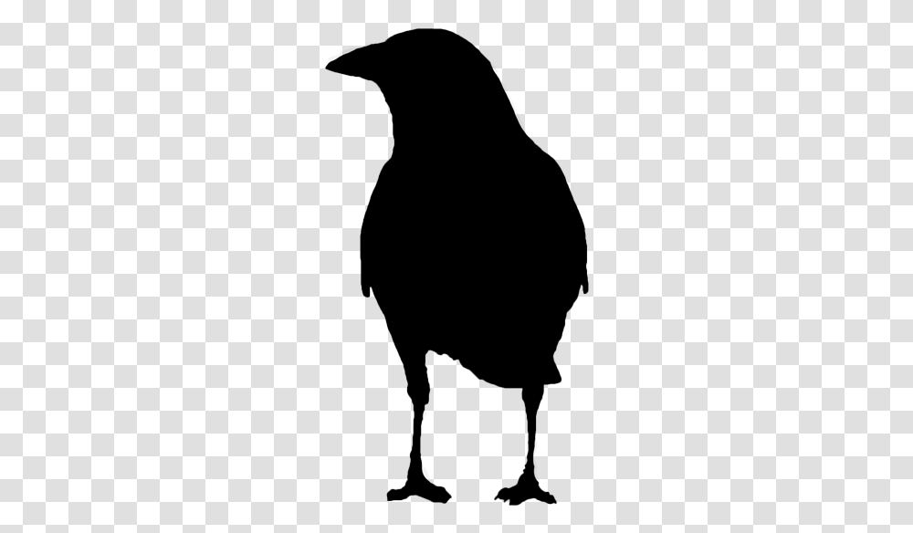 Picture Fish Crow, Gray, World Of Warcraft Transparent Png