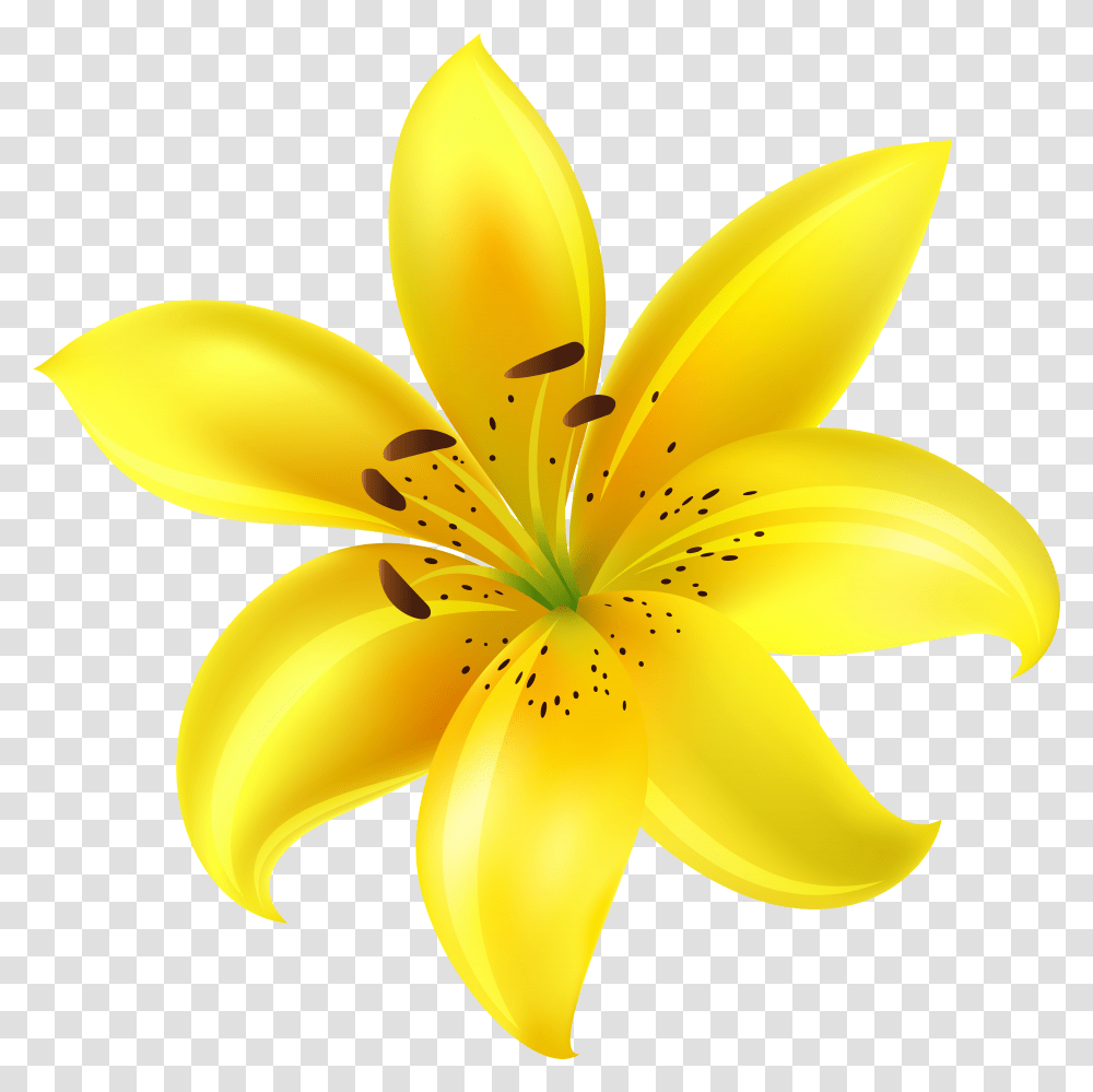 Picture Flower Files Yellow Transparent Png