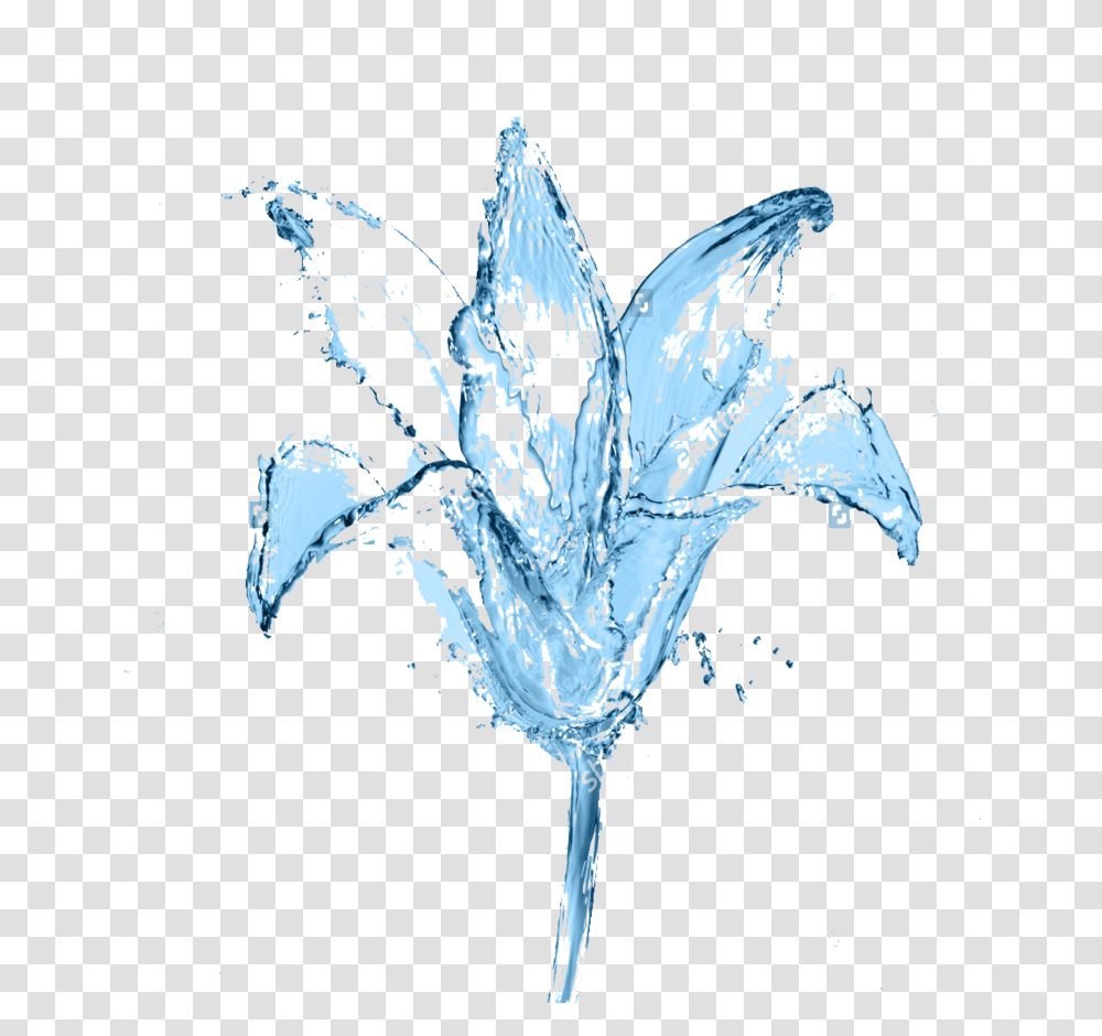 Picture Flower In The Water Waterflower, Crystal, Bird Transparent Png