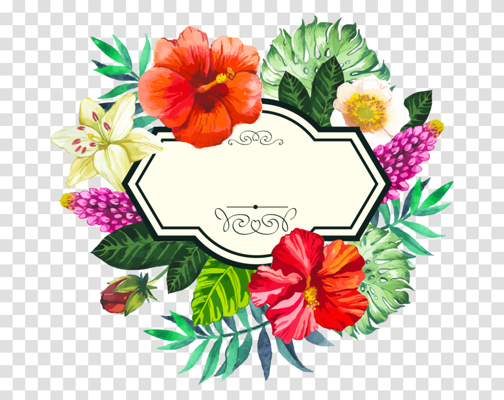 Picture Flower Painted Frame Hand Watercolor Tropical Vector Frame Flowers, Plant, Blossom Transparent Png