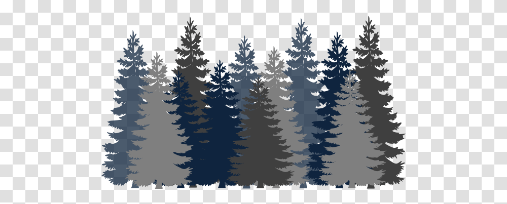 Picture Forest Clipart Background, Tree, Plant, Fir, Abies Transparent Png