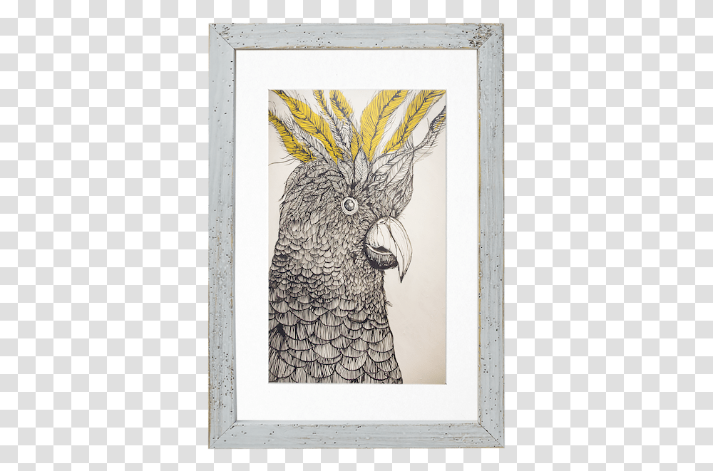 Picture Frame, Drawing, Bird, Animal Transparent Png