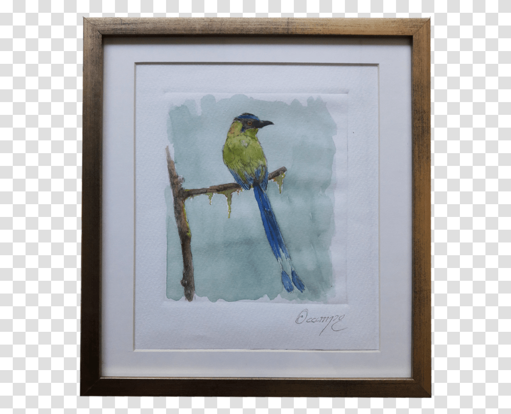 Picture Frame, Bird, Animal, Bee Eater, Wood Transparent Png