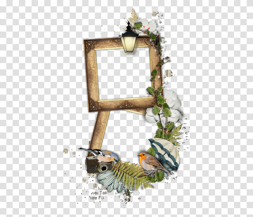 Picture Frame, Bird, Animal, Cross Transparent Png