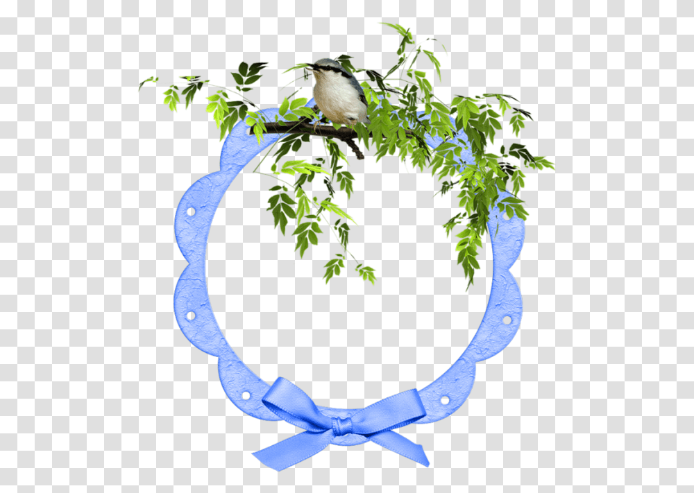 Picture Frame, Bird, Animal, Plant, Leaf Transparent Png
