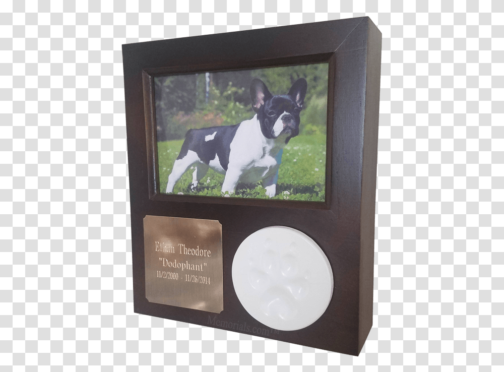 Picture Frame, Dog, Pet, Canine, Animal Transparent Png