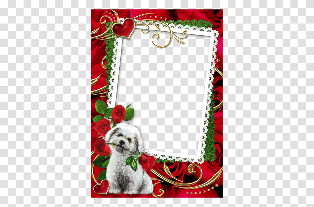 Picture Frame, Envelope, Plant, Mail, Dog Transparent Png