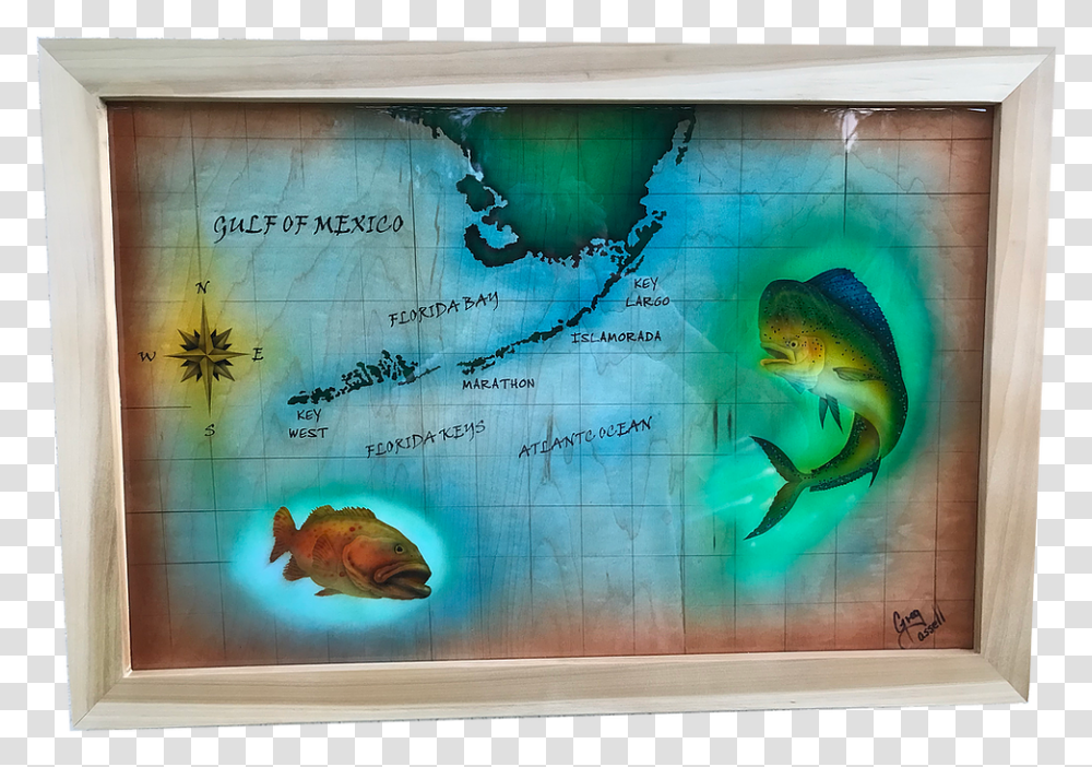 Picture Frame, Fish, Animal, Map Transparent Png