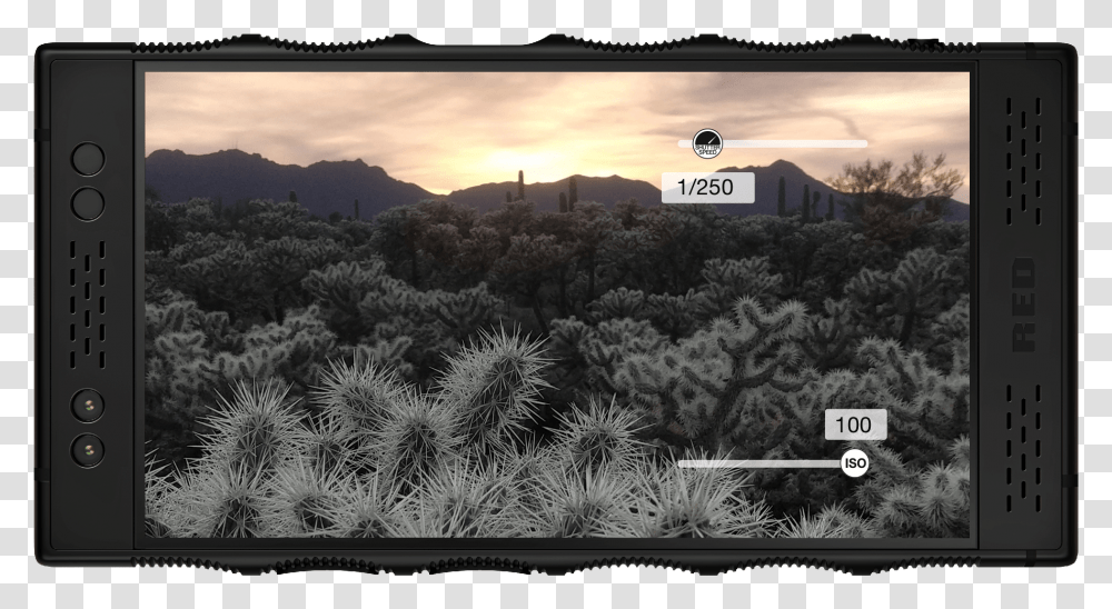 Picture Frame, Outdoors, Monitor, Screen, Electronics Transparent Png