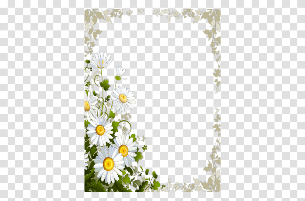 Picture Frame, Plant, Daisy, Flower, Daisies Transparent Png