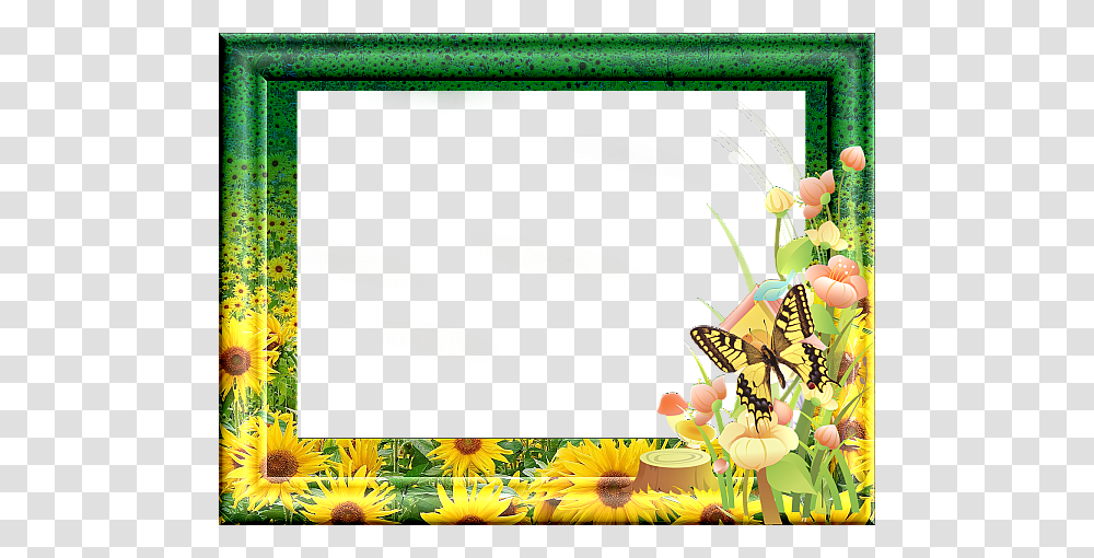 Picture Frame, Plant, Flower, Animal Transparent Png