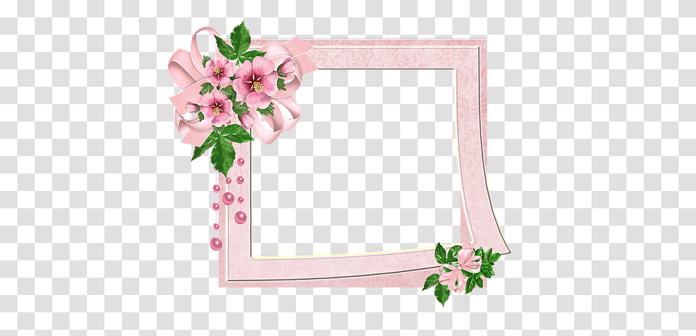 Picture Frame, Plant, Flower, Blossom, Envelope Transparent Png