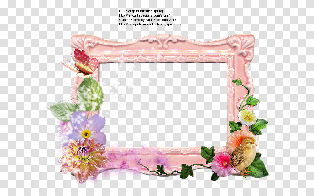 Picture Frame, Plant, Flower, Blossom, Floral Design Transparent Png