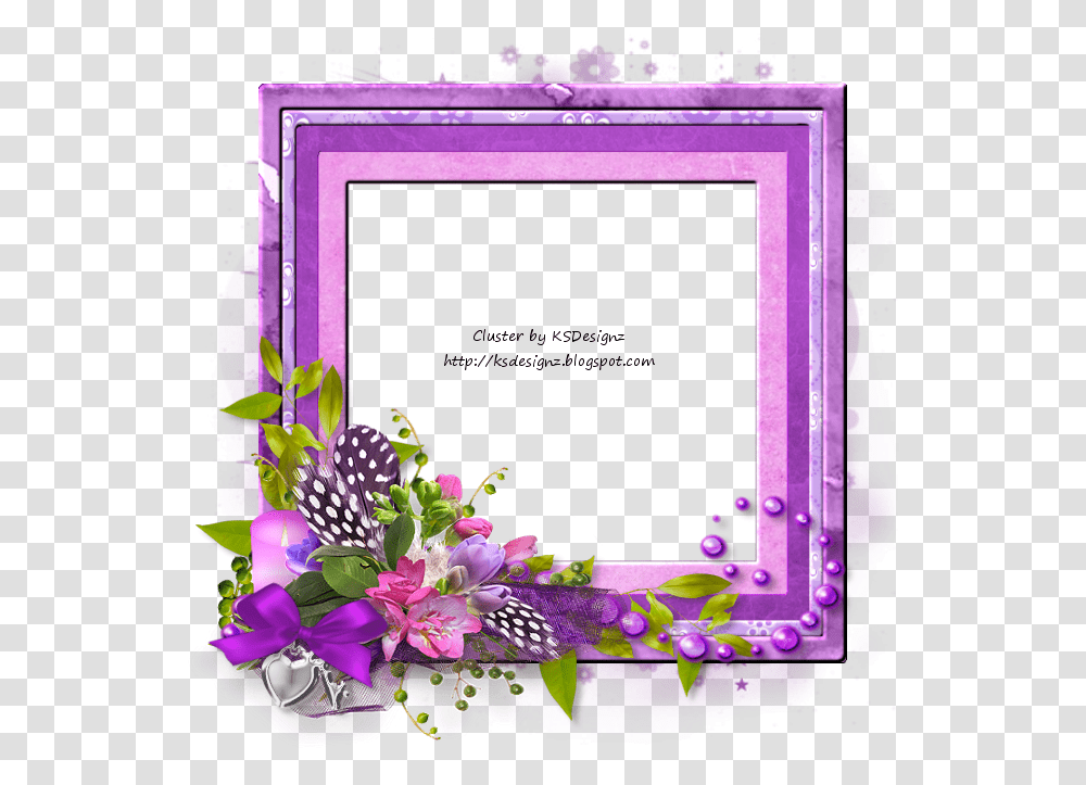 Picture Frame, Plant, Flower, Blossom Transparent Png
