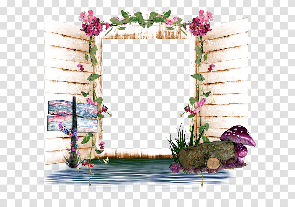 Picture Frame, Plant, Flower, Blossom, Helmet Transparent Png