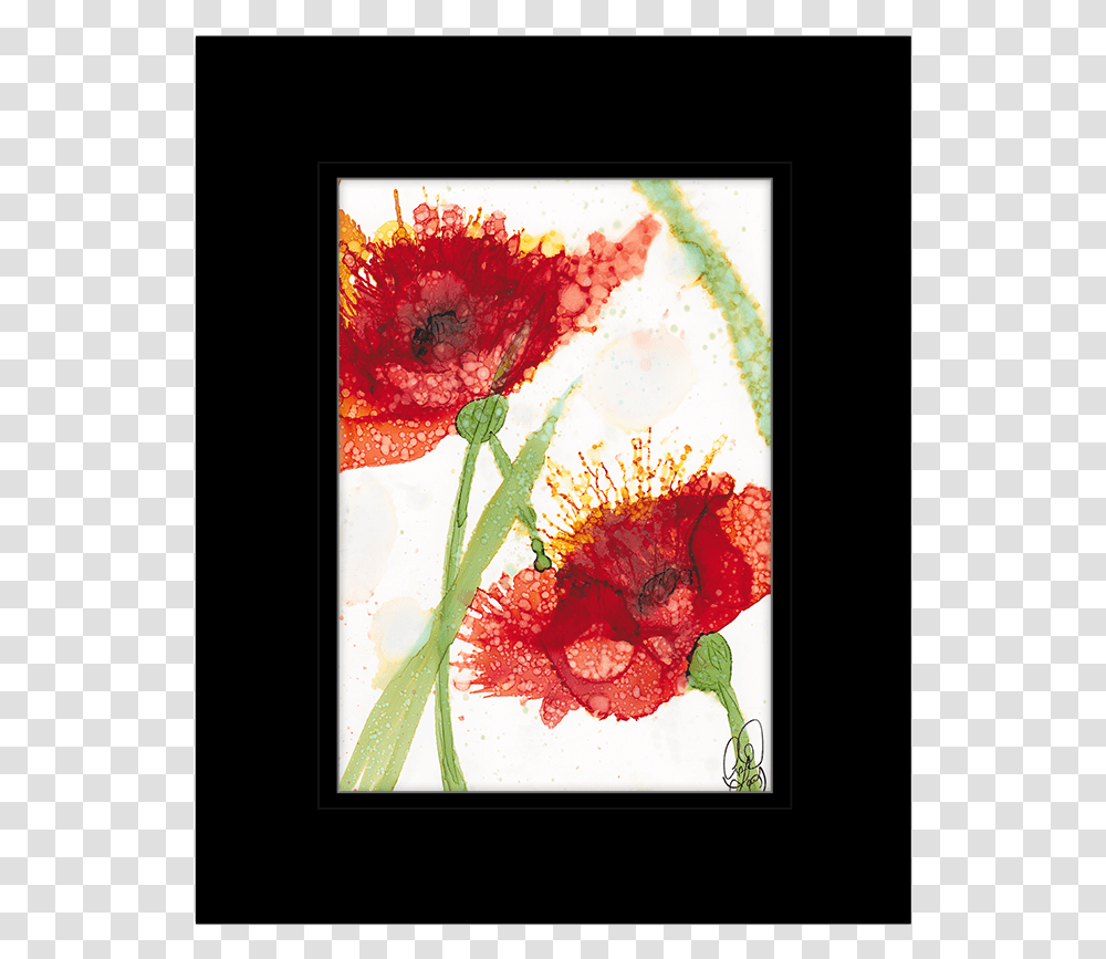 Picture Frame, Plant, Flower, Blossom, Petal Transparent Png