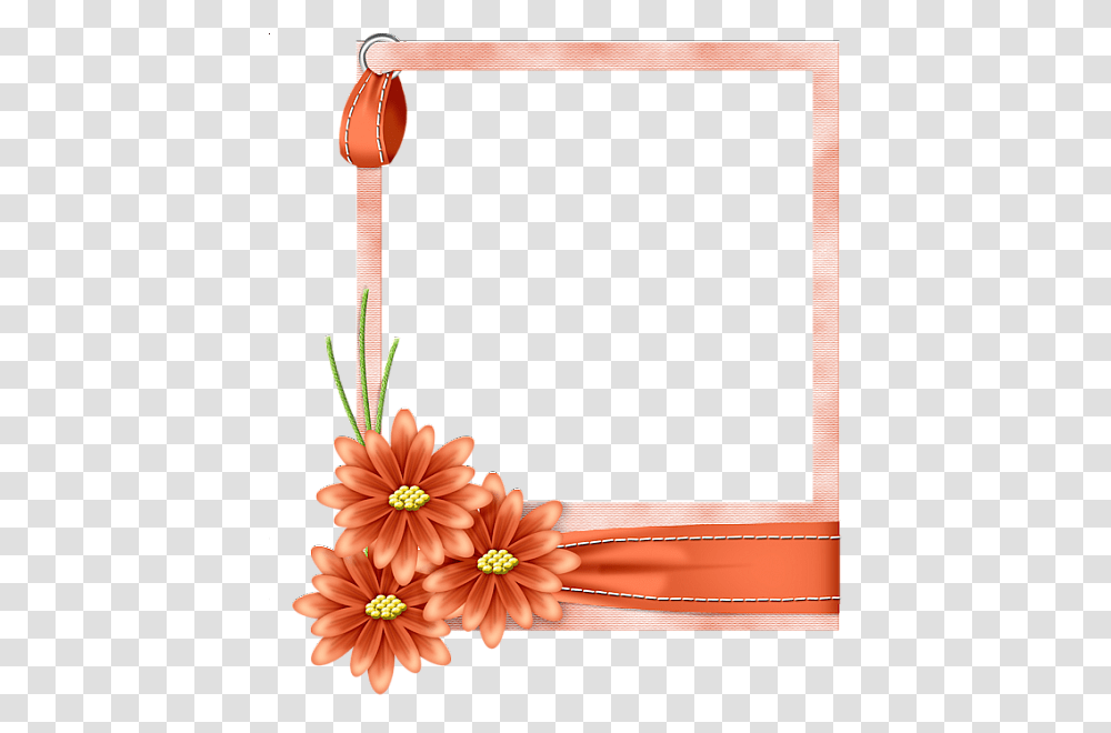 Picture Frame, Plant, Flower, Dahlia, Daisy Transparent Png