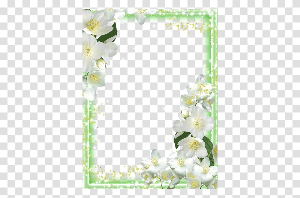 Picture Frame, Plant, Flower, Floral Design, Pattern Transparent Png