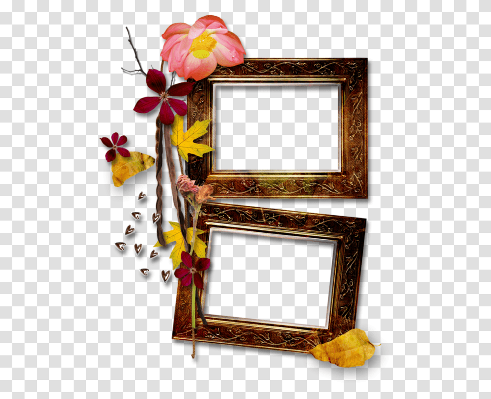 Picture Frame, Plant, Flower, Monitor, Screen Transparent Png