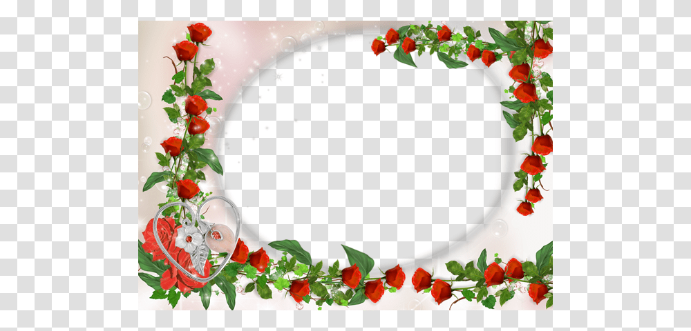 Picture Frame, Plant, Tree Transparent Png